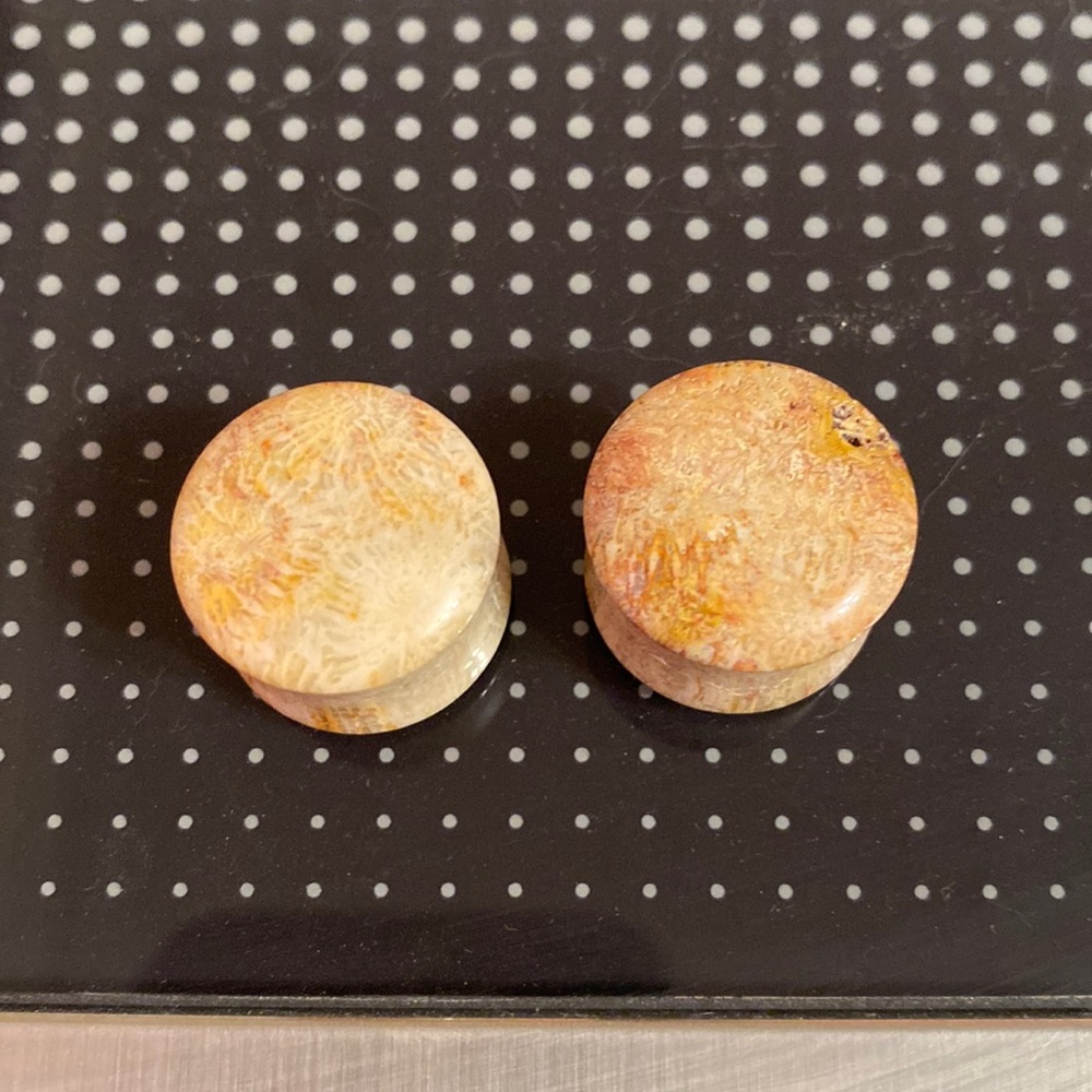 Fossilized Stone Plugs